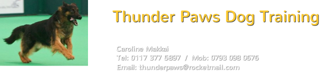 Thunder Paws Dog Training
